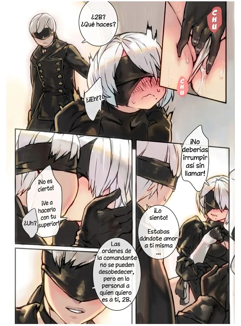 A29S2B