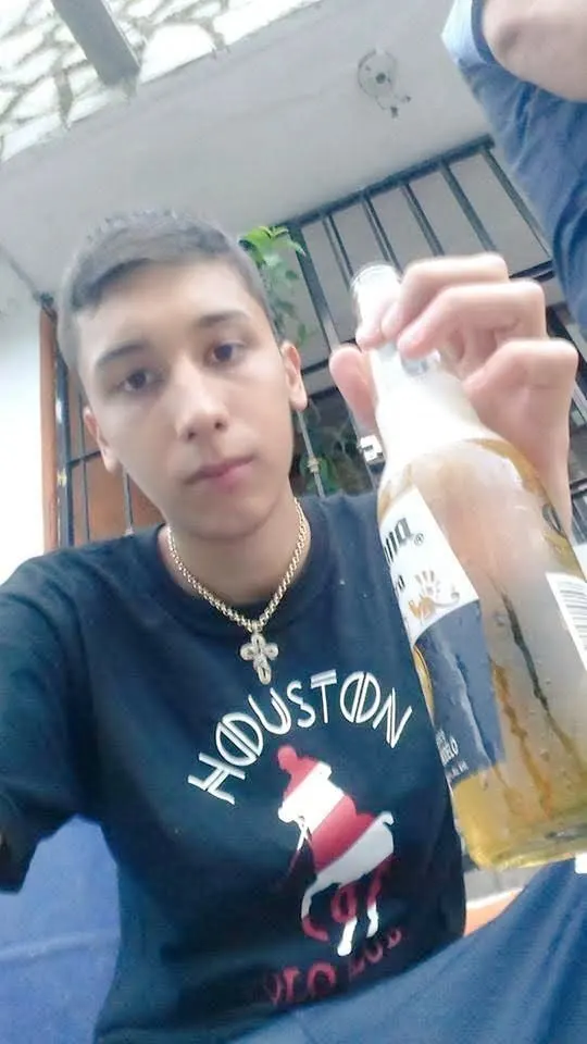 Vergas peludas de heteros