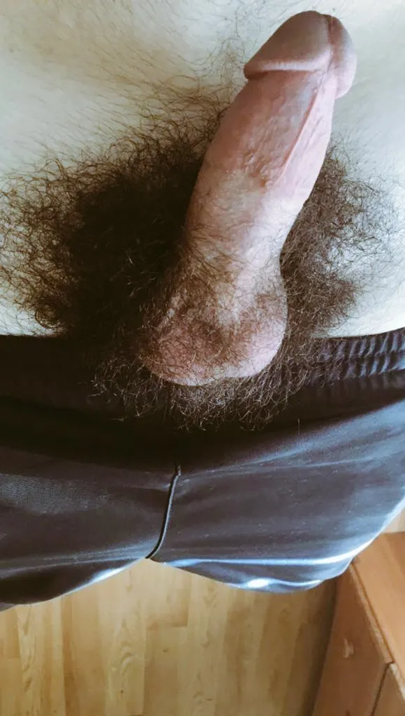 Vergas peludas de heteros