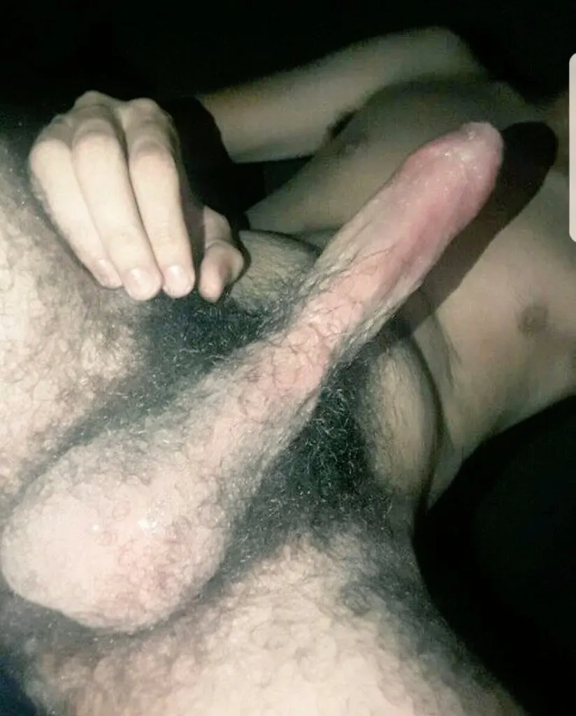 Vergas peludas de heteros