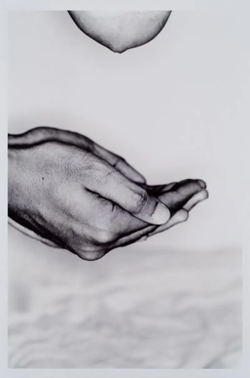 Noritoshi Hirakawa - Fotografía