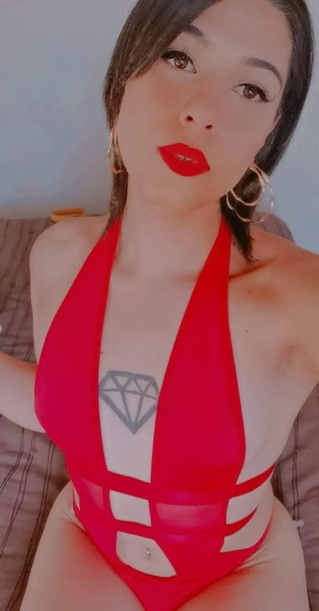 Mi tercer aporte mamita trans