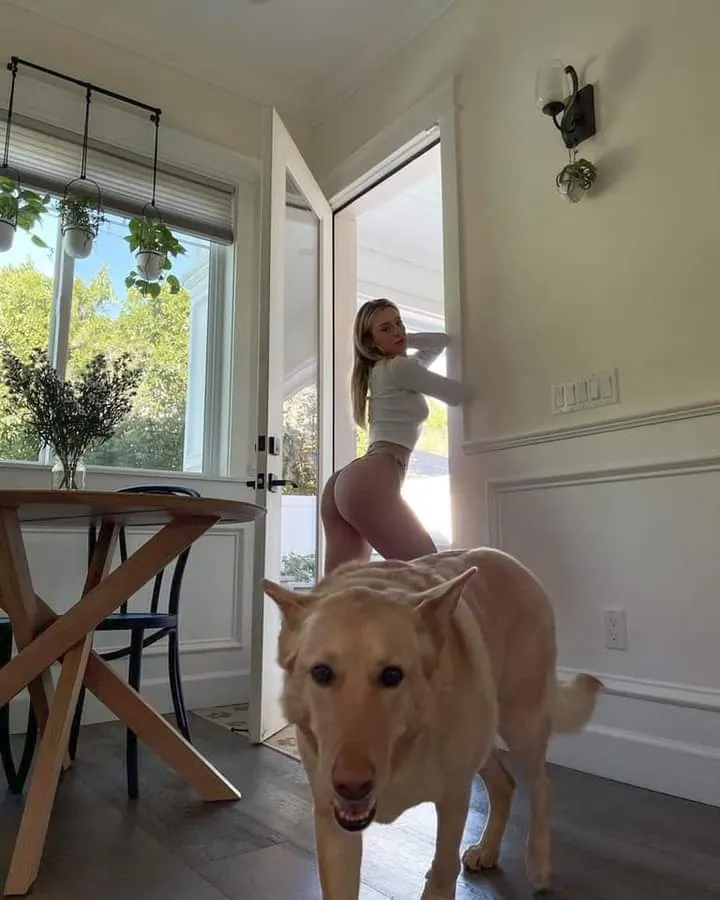 Perro culazo