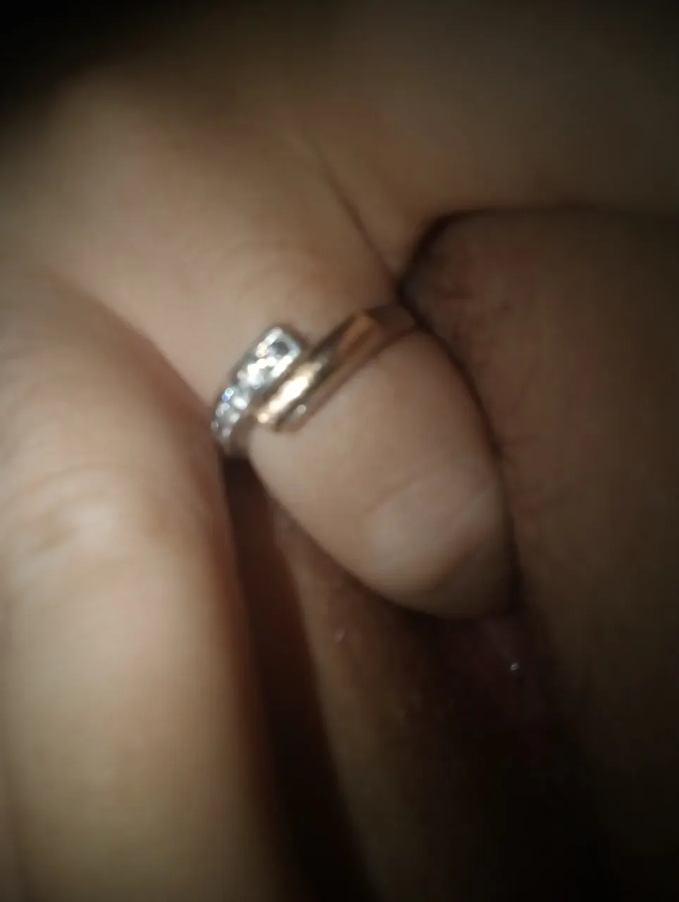 Perra