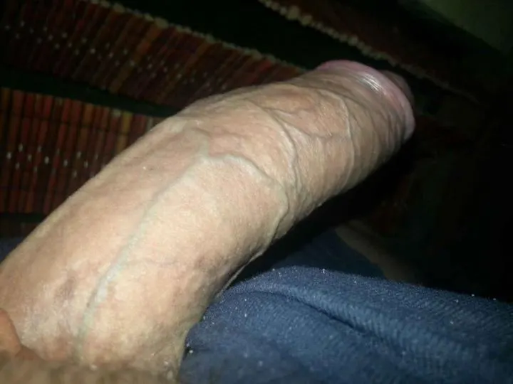mi pija la queres