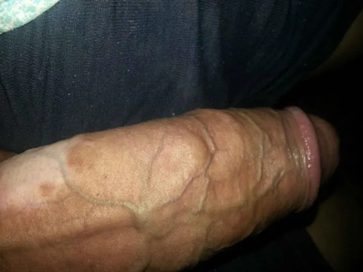 mi pija la queres