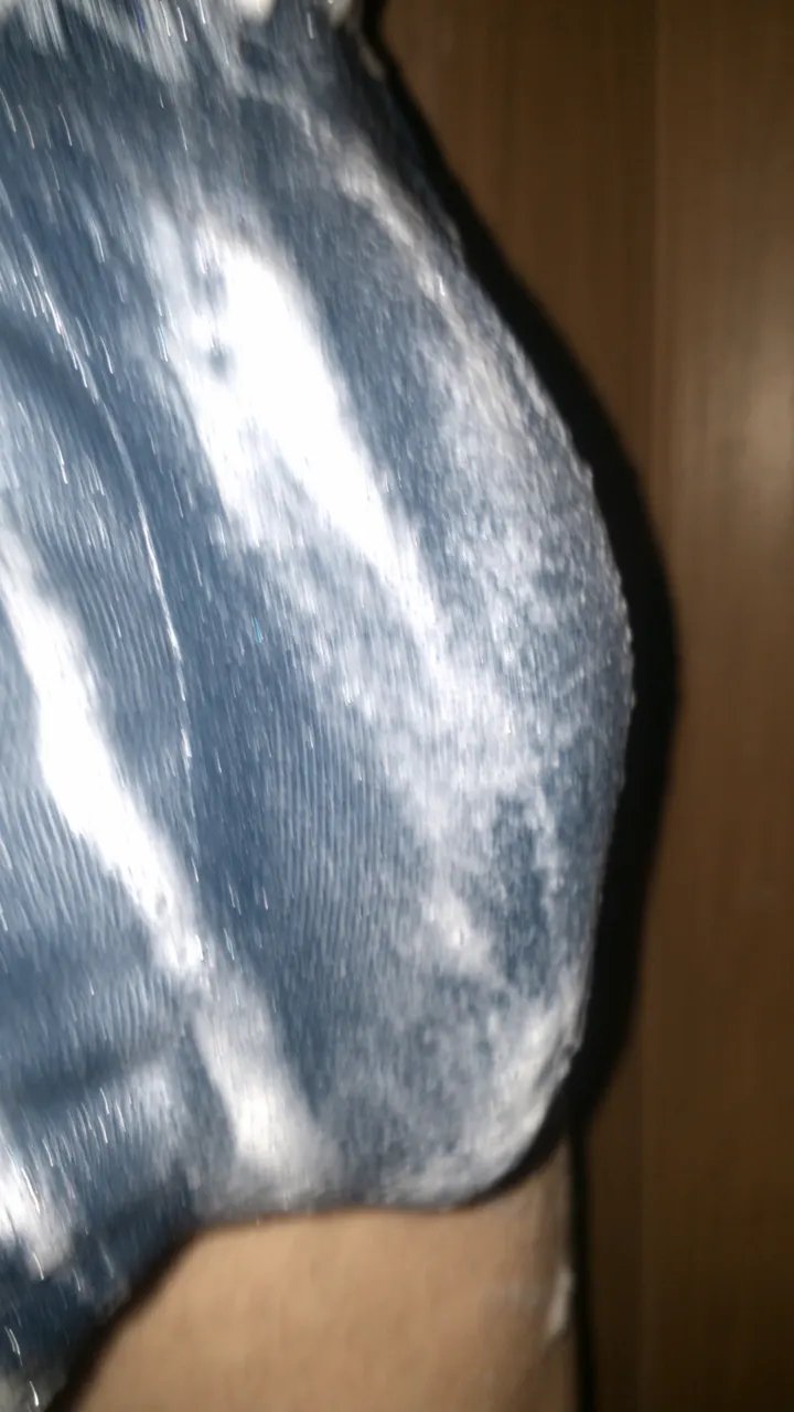 mi pija la queres