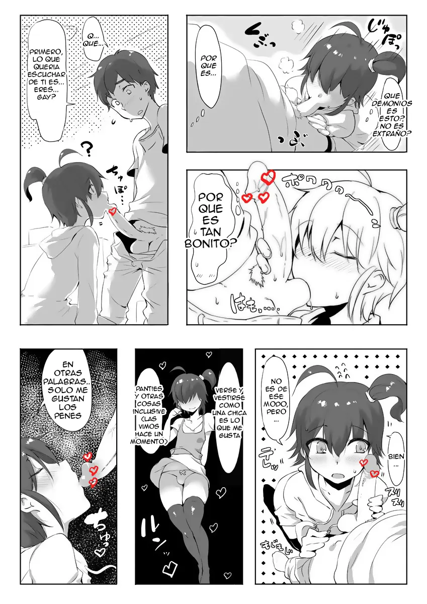 Hermanita trap
