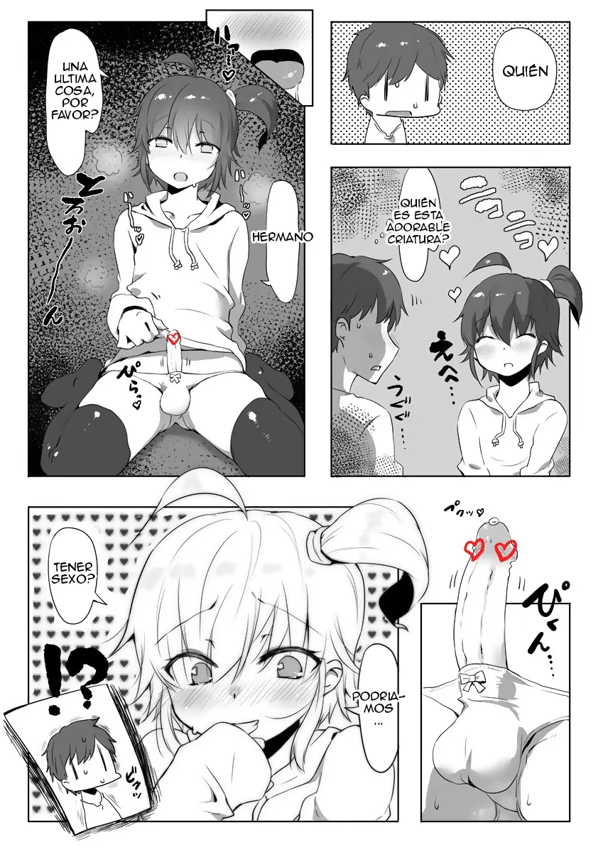 Hermanita trap