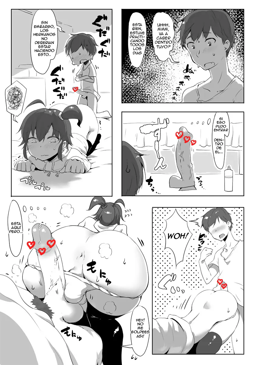 Hermanita trap