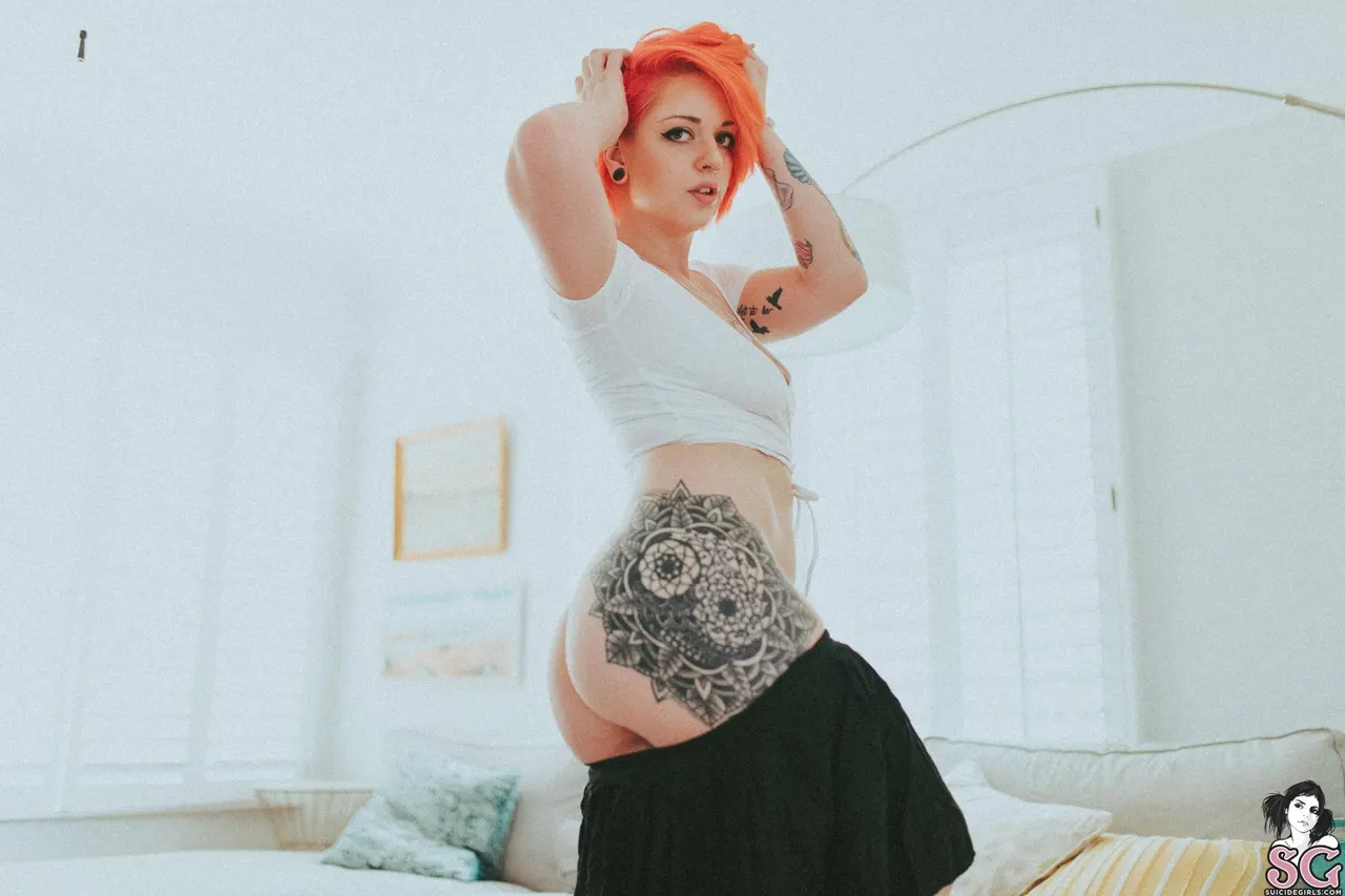 alikatt Dreamsicle
