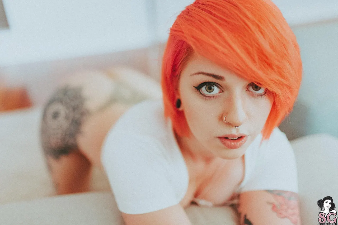 alikatt Dreamsicle