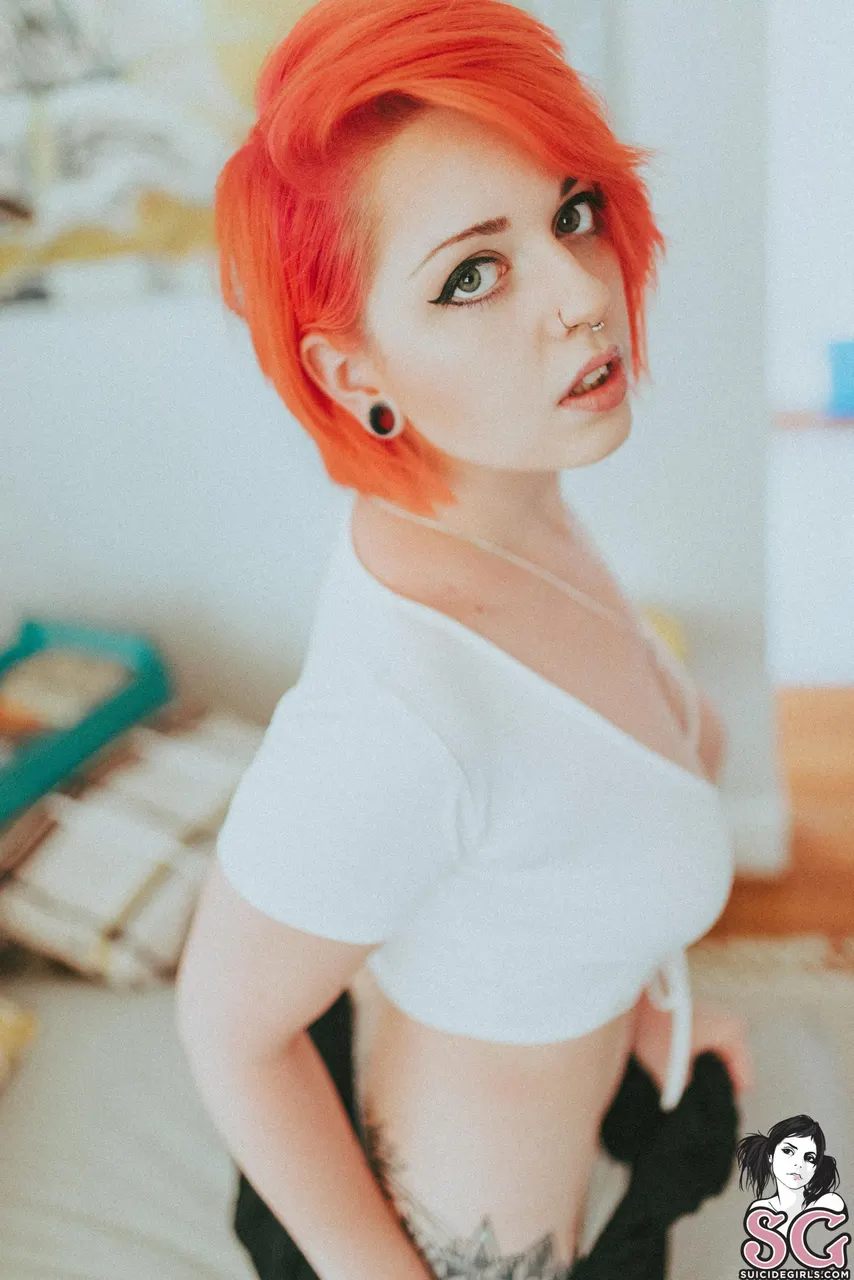 alikatt Dreamsicle