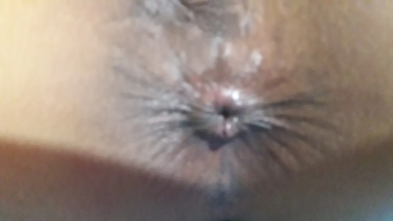 Mi flaca salteñita