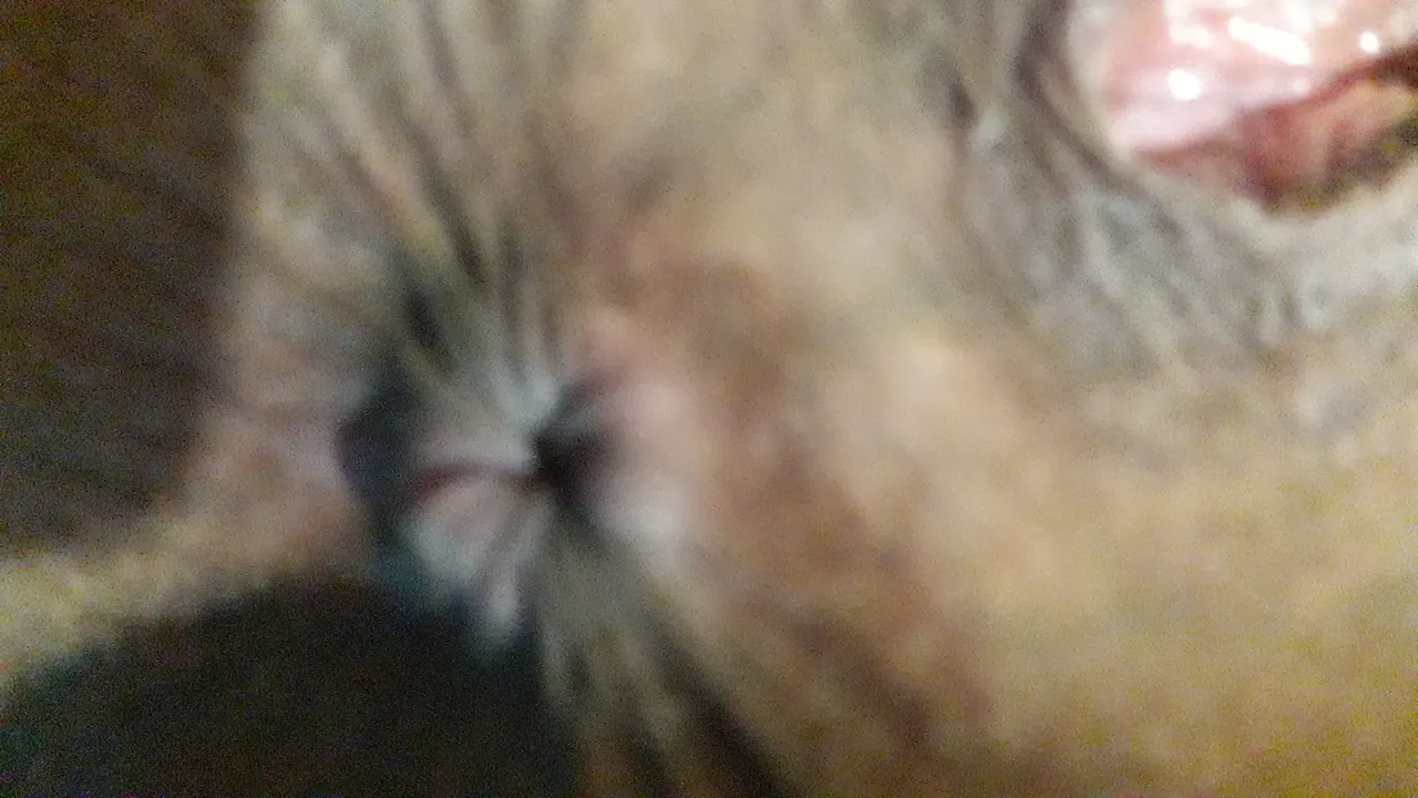 Mi flaca salteñita