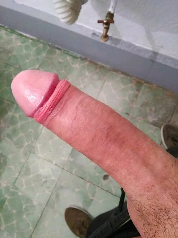 Chacales