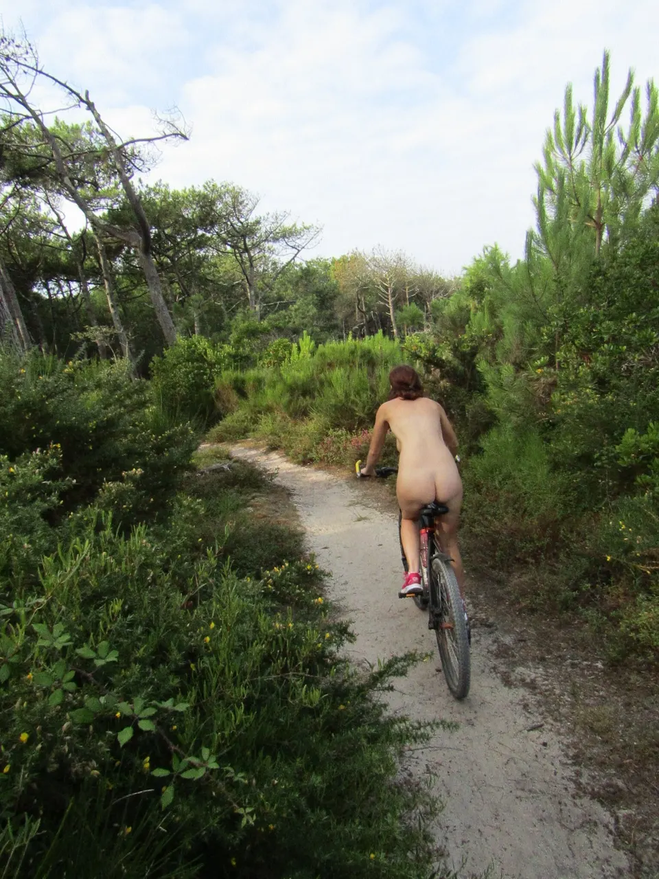 La bicicleta, hermoso ejercicio