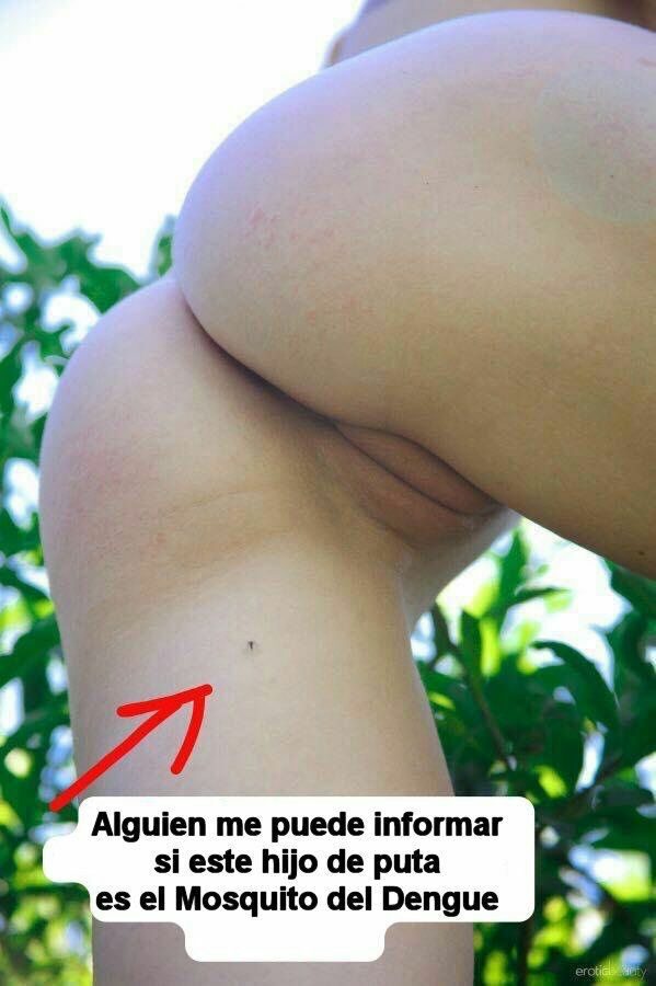 Culos pa todos los gustos 👀