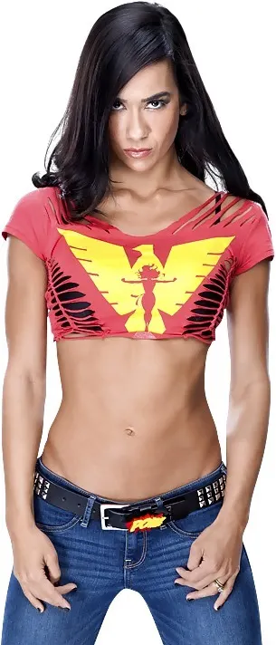 Aj Lee ex Wwe Divas