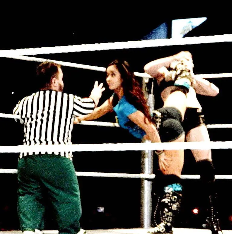 Aj Lee ex Wwe Divas
