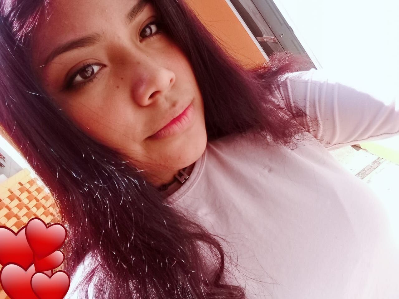 Hermosa perrita de 18 años