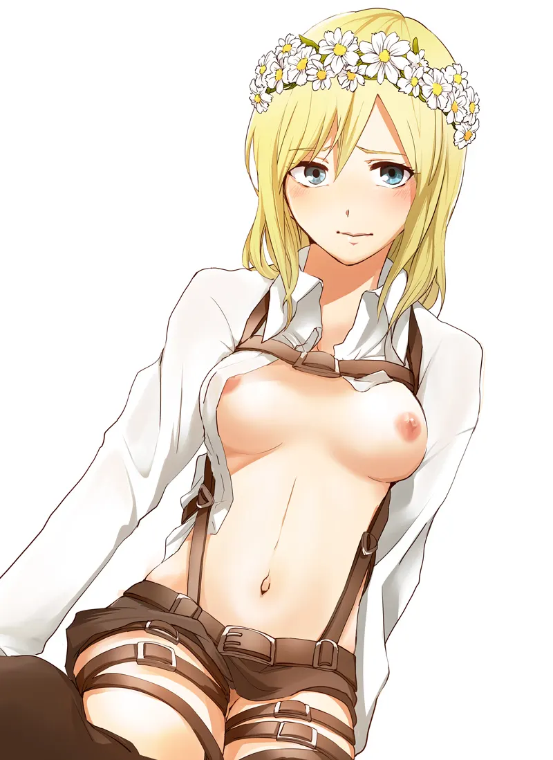 Material H Shingeki no Kyojin: Historia Reiss