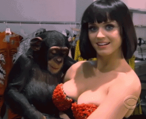 Unos gifs picaros y graciosos...
