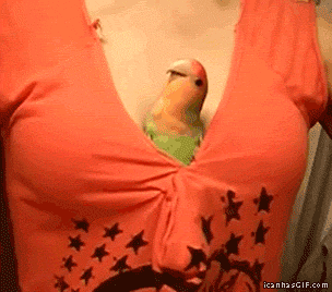 Unos gifs picaros y graciosos...