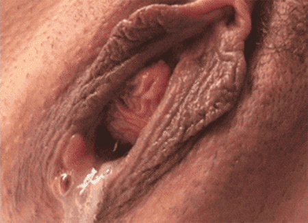 Gifs variadosde clitoris en accion y orgasmos