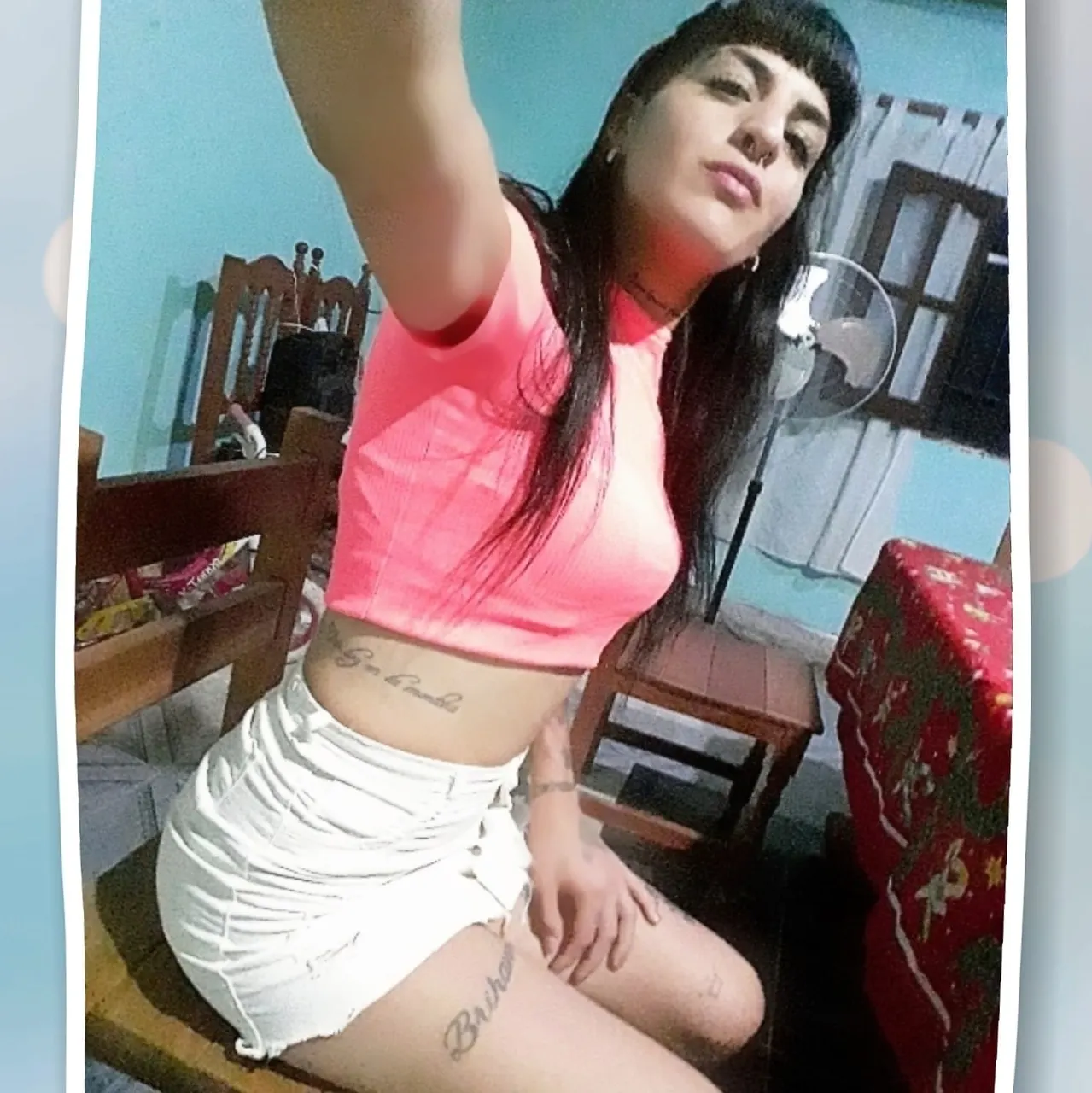 turra argenta