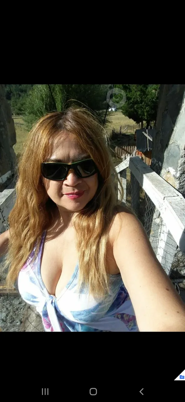 Chilena exquisita