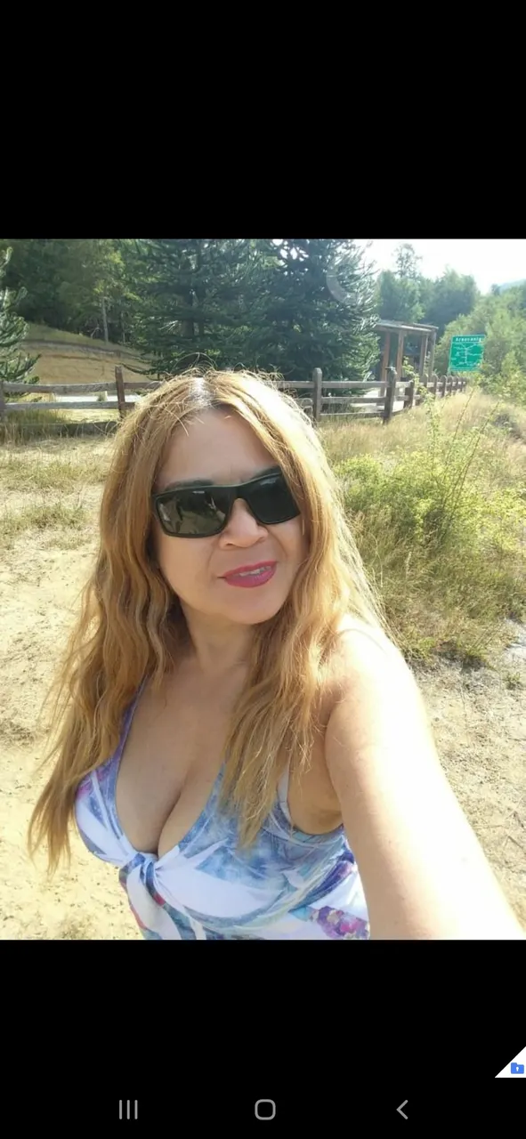 Chilena exquisita