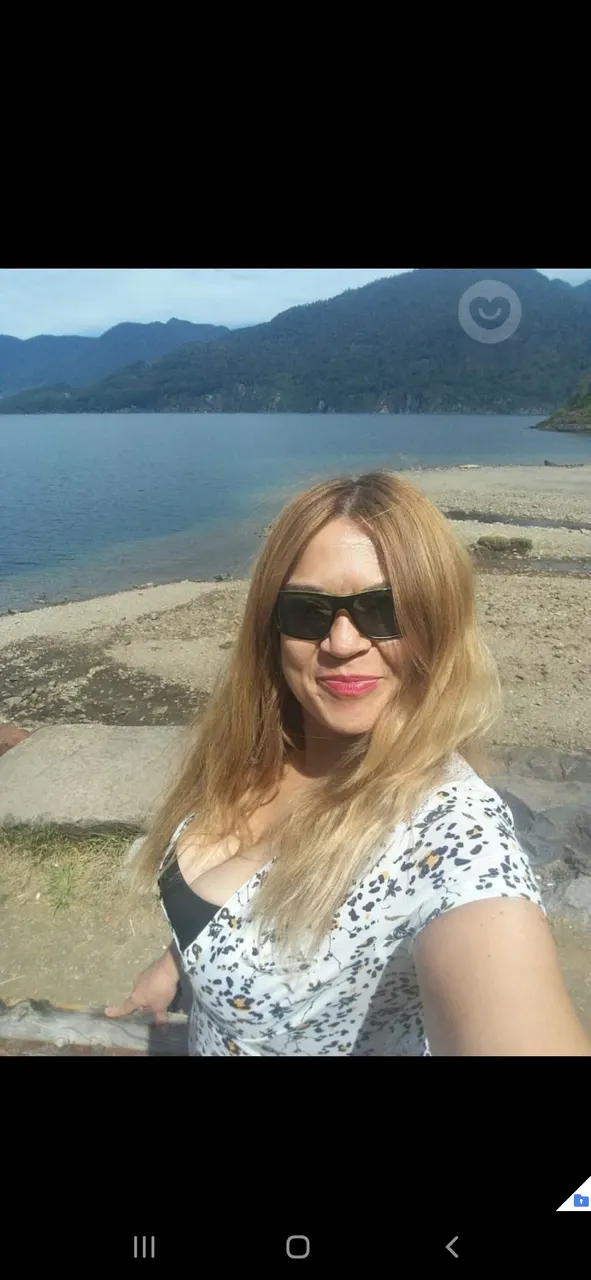 Chilena exquisita