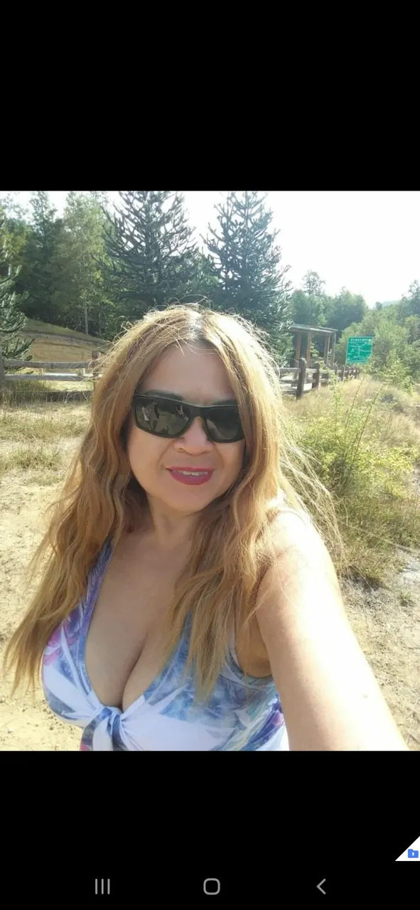 Chilena exquisita