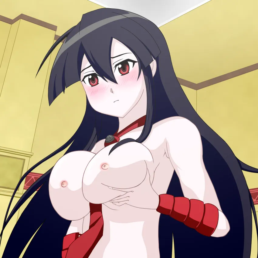 Material H Akame ga Kill: Akame y Kurome
