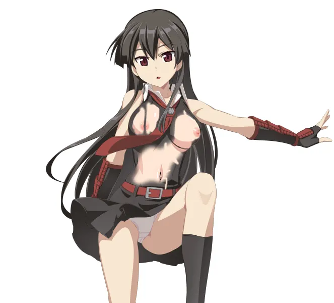 Material H Akame ga Kill: Akame y Kurome