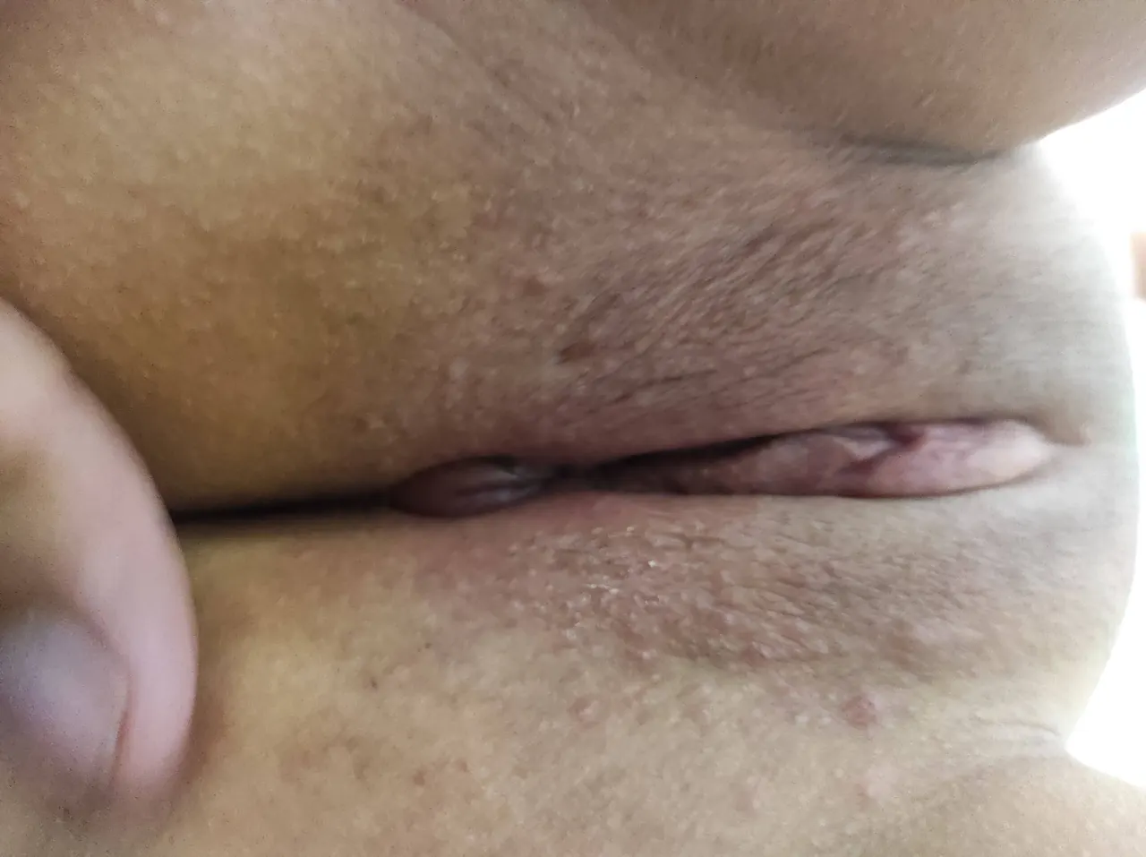 top vaginas que me folle