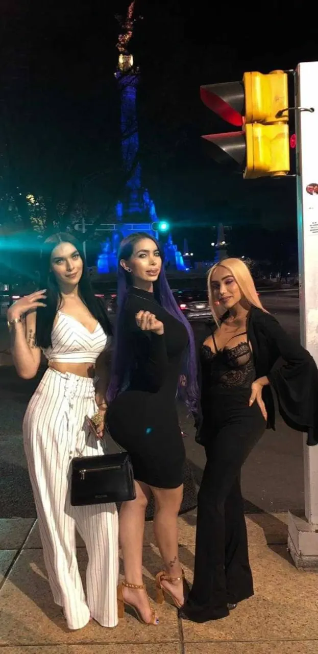Variado de Transexuales (Parte 61)